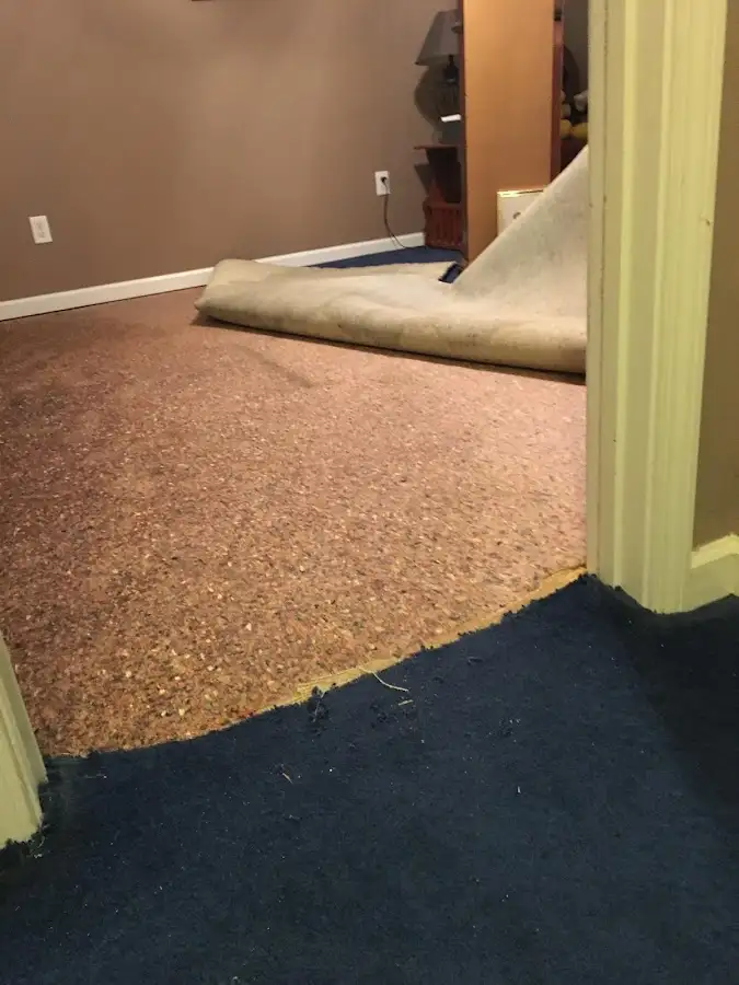 Carpet pad removal revealing water damage during Drying & Dehumidification in San Benito