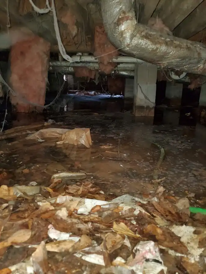 Crawl space flood assessment for Leak Detection & Repair in San Benito