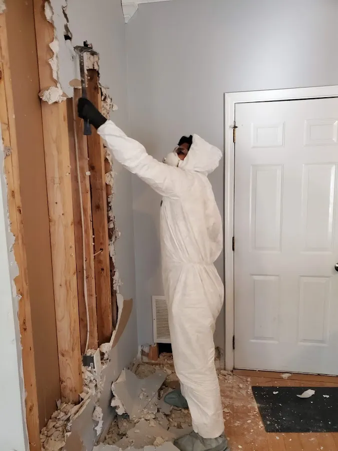 Water Damage Restoration services in San Benito, TX